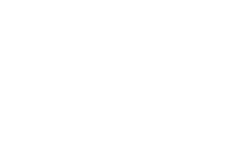 Logo Animativa - cliente da ON Marketing Digital
