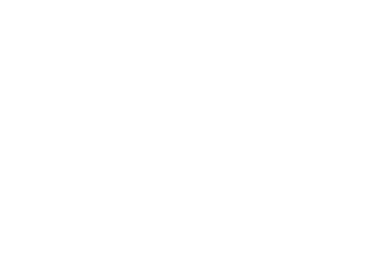 Logo Flow - cliente da ON Marketing Digital