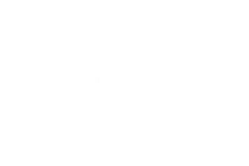 Logo Ford Caer - cliente da ON Marketing Digital