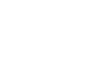 Logo Wartsila - cliente da ON Marketing Digital