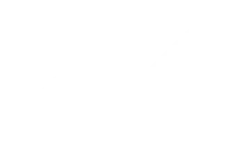 Logo Werner - cliente da ON Marketing Digital