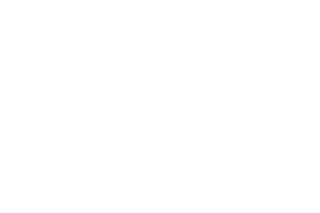 Wise Up